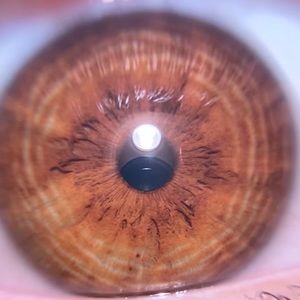 Meet your Posher, Maya